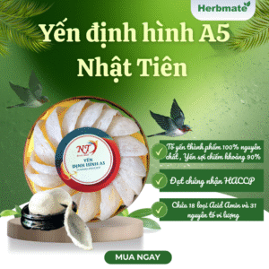 Bìa Yến định hình A5 Nhật Tiên Yến Hoa Hồng Tinh Chế - Hộp 50g - Công Nghệ Không Ngâm Nở, Giữ Trọn Vi Chất