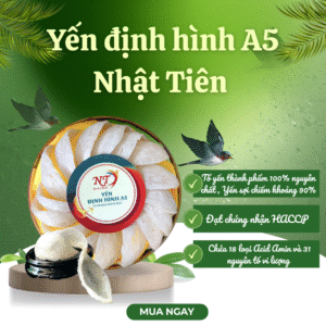 Yến Định Hình A5 Cao Cấp – Hộp 50g - Dáng Cánh Sen, Sợi Dài