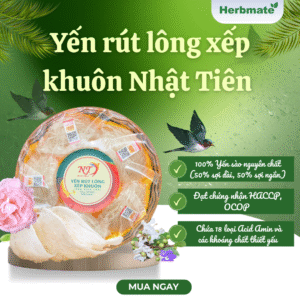 Yến Rút Lông Xếp Khuôn - Hộp 50g - Công Nghệ "Rửa Lướt" Giữ Trọn Dưỡng Chất