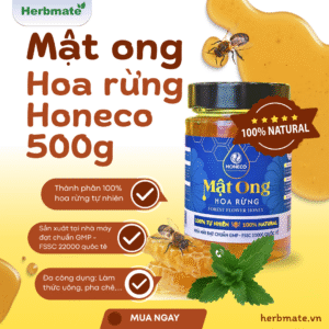 Mật Ong Hoa Rừng - Lọ 500g – Tinh Túy Mùa Hè Từ Núi Rừng Phía Bắc