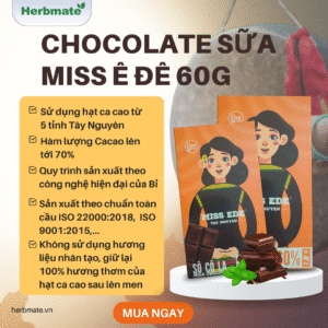 Bìa web chocolate miss ede Chocolate Sữa Miss Ede 60% Cacao - Hộp 60g - Tinh Hoa Đại Ngàn Tây Nguyên