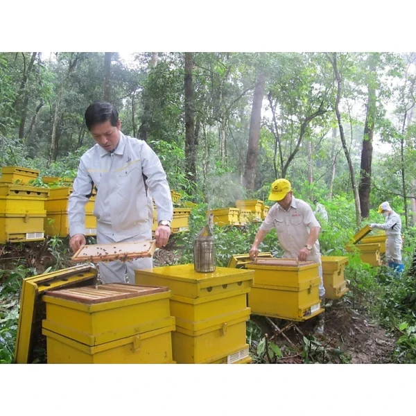 Mật Ong Hoa Rừng - Lọ 500g – Tinh Túy Mùa Hè Từ Núi Rừng Phía Bắc