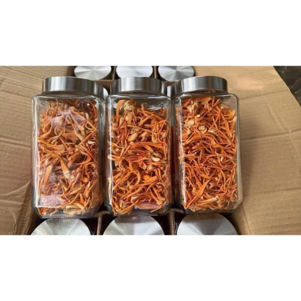 vn-11134207-7ras8-md2l0eh3k670b8 Đông Trùng Hạ Thảo Takichi - Hộp 40g - Thượng Dược Bồi Bổ Sức Khỏe Toàn Diện