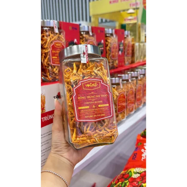 vn-11134207-820l4-mjdlgy8ysni9ec Đông Trùng Hạ Thảo Takichi - Hộp 40g - Thượng Dược Bồi Bổ Sức Khỏe Toàn Diện