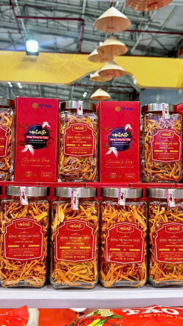 z7425518856102_e99eb42ed8f46a1d351df5e38fccb381 Đông Trùng Hạ Thảo Takichi - Hộp 40g - Thượng Dược Bồi Bổ Sức Khỏe Toàn Diện