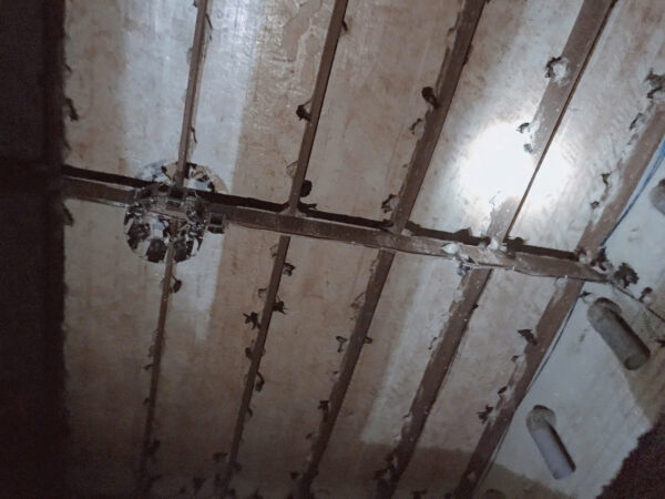 Yến Hoa Hồng Tinh Chế - Hộp 50g - Công Nghệ Không Ngâm Nở, Giữ Trọn Vi Chất