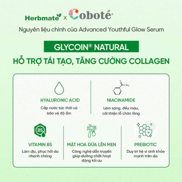 1 Tinh Chất Trẻ Hóa Da Vượt Trội Coboté 30ml – Giải Pháp Cấp Ẩm Đa Tầng & Phục Hồi Chuyên Sâu