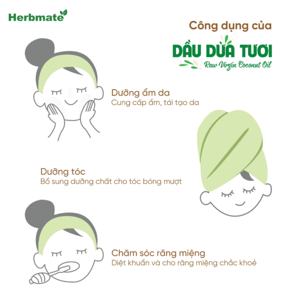 Dầu Dừa Tươi Coboté – Tinh Túy Từ Công Nghệ Ly Tâm HSC Bến Tre