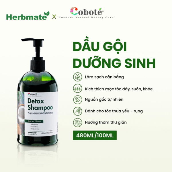 2 Dầu Gội Dưỡng Sinh Coboté 480ml – Tinh Túy Thảo Mộc Việt Cho Mái Tóc Khỏe Đẹp