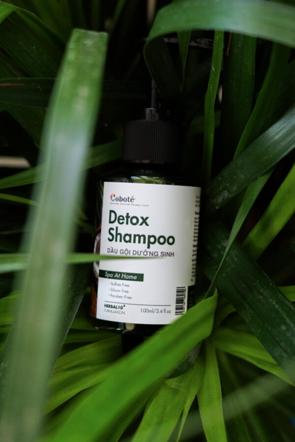 3 Dầu Gội Dưỡng Sinh Coboté 480ml – Tinh Túy Thảo Mộc Việt Cho Mái Tóc Khỏe Đẹp