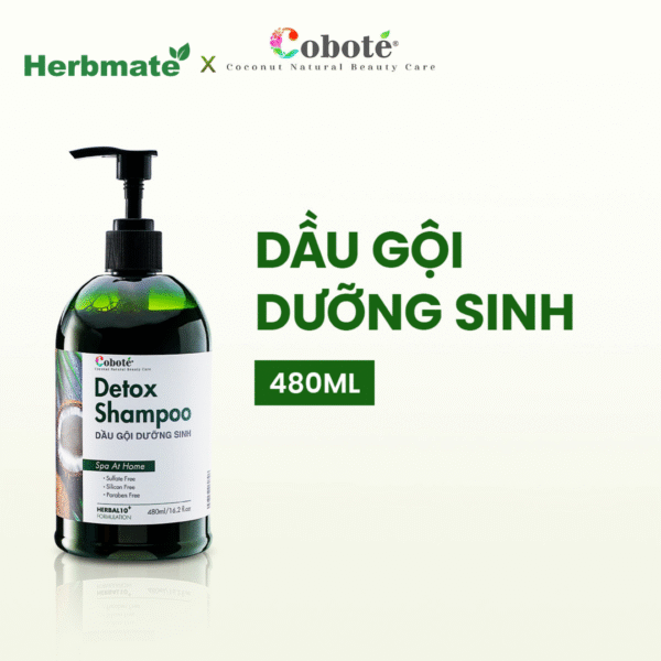 3 Dầu Gội Dưỡng Sinh Coboté 480ml – Tinh Túy Thảo Mộc Việt Cho Mái Tóc Khỏe Đẹp