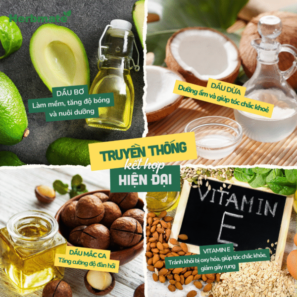 4 Tinh Chất Dưỡng Tóc Đa Năng 6-in-1 Coboté 50ml – Phục Hồi Và Tỏa Sáng Mái Tóc Tự Nhiên