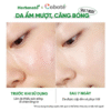 4 Tinh Chất Trẻ Hóa Da Vượt Trội Coboté 30ml – Giải Pháp Cấp Ẩm Đa Tầng & Phục Hồi Chuyên Sâu