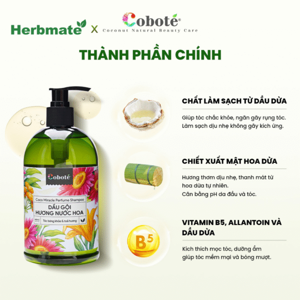 Dầu Gội Hương Nước Hoa Coboté 480ml – Mái Tóc Khỏe Đẹp, Ngát Hương Suốt Ngày Dài