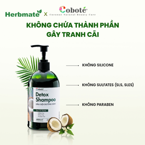 6 Dầu Gội Dưỡng Sinh Coboté 480ml – Tinh Túy Thảo Mộc Việt Cho Mái Tóc Khỏe Đẹp