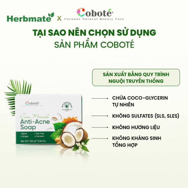 6 Xà Phòng Ngừa Mụn Cơ Thể Coboté 100g – Sạch Sâu, Mờ Thâm Và Phục Hồi Làn Da
