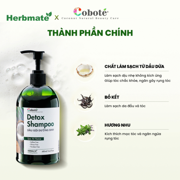 7 Dầu Gội Dưỡng Sinh Coboté 480ml – Tinh Túy Thảo Mộc Việt Cho Mái Tóc Khỏe Đẹp
