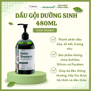 Dầu Gội Dưỡng Sinh Coboté 480ml – Tinh Túy Thảo Mộc Việt Cho Mái Tóc Khỏe Đẹp