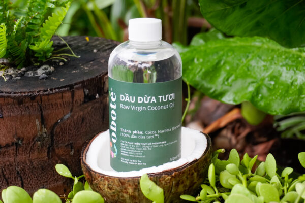 Dầu Dừa Tươi Coboté – Tinh Túy Từ Công Nghệ Ly Tâm HSC Bến Tre