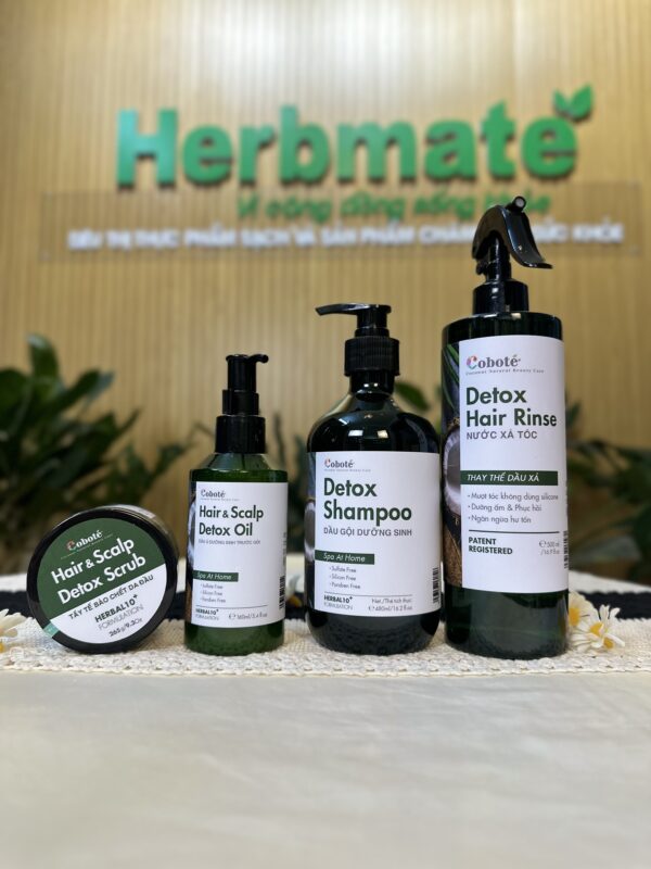IMG_3309 Dầu Gội Dưỡng Sinh Coboté 480ml – Tinh Túy Thảo Mộc Việt Cho Mái Tóc Khỏe Đẹp