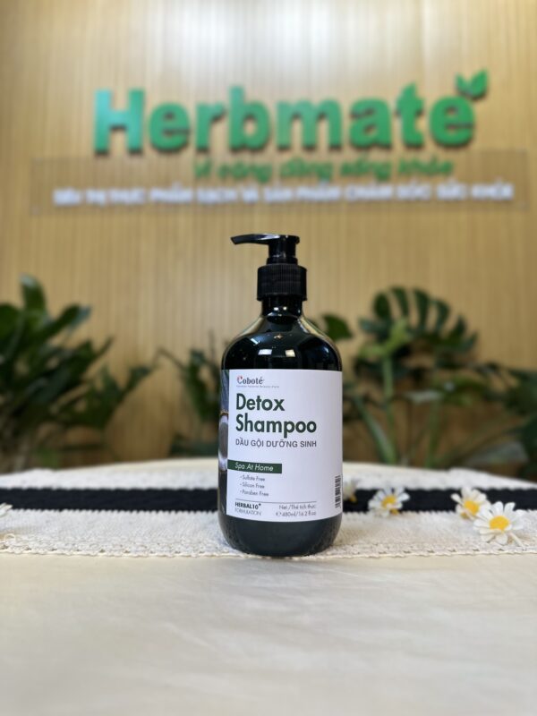 IMG_3313 Dầu Gội Dưỡng Sinh Coboté 480ml – Tinh Túy Thảo Mộc Việt Cho Mái Tóc Khỏe Đẹp