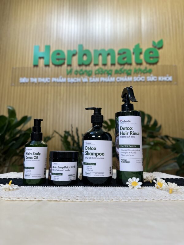 IMG_3322 Dầu Gội Dưỡng Sinh Coboté 480ml – Tinh Túy Thảo Mộc Việt Cho Mái Tóc Khỏe Đẹp