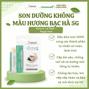 Son Dưỡng Môi Không Màu Coboté  5g – Dưỡng Ẩm Kép Và Chăm Sóc Môi Từ Thiên Nhiên