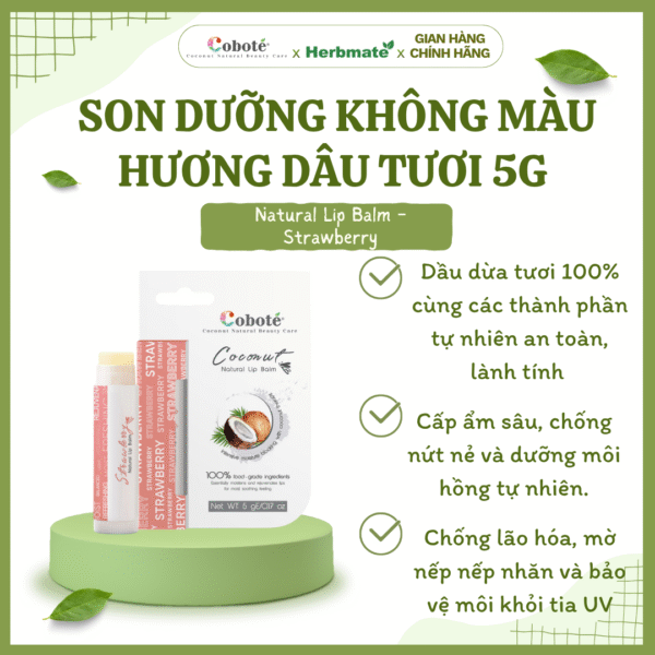 Son Dưỡng Môi Không Màu Coboté  5g – Dưỡng Ẩm Kép Và Chăm Sóc Môi Từ Thiên Nhiên