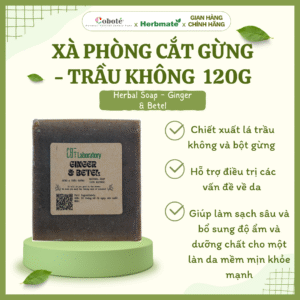 Xà Phòng Thảo Mộc Gừng - Trầu Không Coboté 120g – Giải Pháp Kháng Khuẩn Và Hỗ Trợ Điều Trị Da Liễu