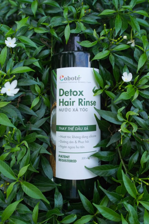z4751733199764_5f59a40d46415d847381a33745bb4da6 (1) Nước Xả Tóc Dưỡng Sinh Coboté 500ml – Giải Pháp Thải Độc & Hồi Sinh Mái Tóc Bồng Bềnh
