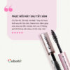 Serum Dưỡng Dài Mi Và Mày Ban Đêm Coboté 6ml – Phục Hồi Chuyên Sâu Trong Giấc Ngủ